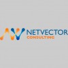 NetVector Consulting