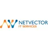 NetVector Consulting