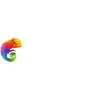Chameleon Support