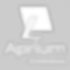 Aprium IT Solutions